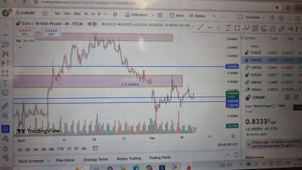 The Market Watch section displays live prices for currency pairs and other trading instruments.